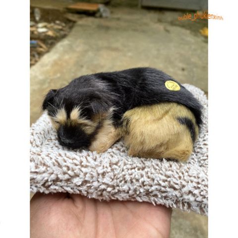 Chó PUG Thú Bông Hoạt Tính Khử Mùi - Đồ Trang Trí Dễ Thương Cho Ô Tô và Không Gian Sống, An Toàn Cho Trẻ Nhỏ