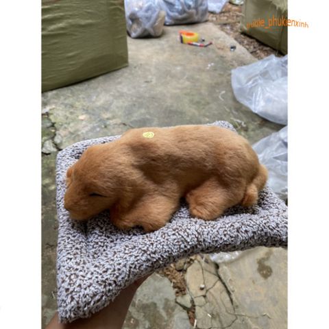 Thú Bông Cún Tai Dài Cộc Nâu Khử Mùi - Đồ Trang Trí Xe Hơi Dễ Thương với Lõi Than Hoạt Tính Hút Ẩm và Khử Mùi