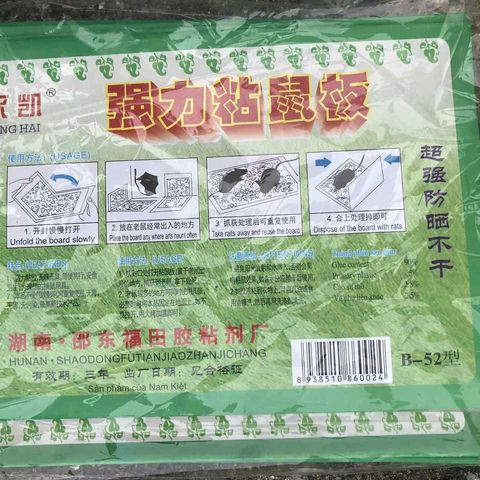 [TẤM LỚN 17x 23 cm ] 10 Miếng Dính Ruồi nhặng- Giúp bẫy ruồi muỗi Hiệu Quả, An Toàn, Không Độc Hại