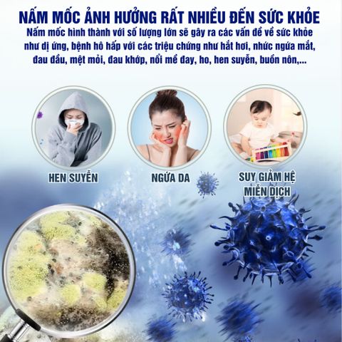 Chai Xịt Tẩy Nấm Mốc LKB 500ml - Sản Phẩm Làm Sạch Tường Bếp, Nhà Tắm An Toàn và Tiện Lợi cho Gia Đình