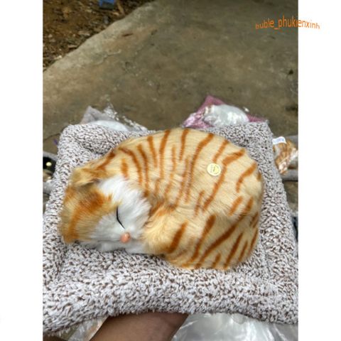 Thú Bông Mèo Vằn Vàng Than Hoạt Tính - Đồ Trang Trí Ô Tô An Toàn, Lọc Không Khí, Khử Mùi Hiệu Quả cho Chó Mèo