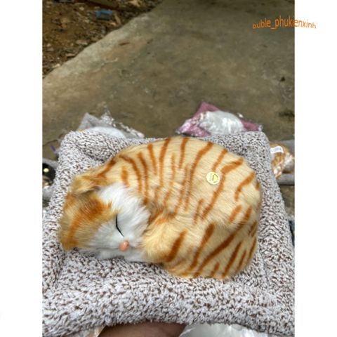 Thú Bông Mèo Vằn Vàng Than Hoạt Tính - Đồ Trang Trí Ô Tô An Toàn, Lọc Không Khí, Khử Mùi Hiệu Quả cho Chó Mèo