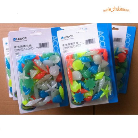 Gói 20 viên Sỏi Dạ Quang Sinh Vật Biển - Trang Trí Bể Cá, Thác Nước, Phụ Kiện Vỏ Ốc Sao, Tạo Điểm Nhấn Độc Đáo
