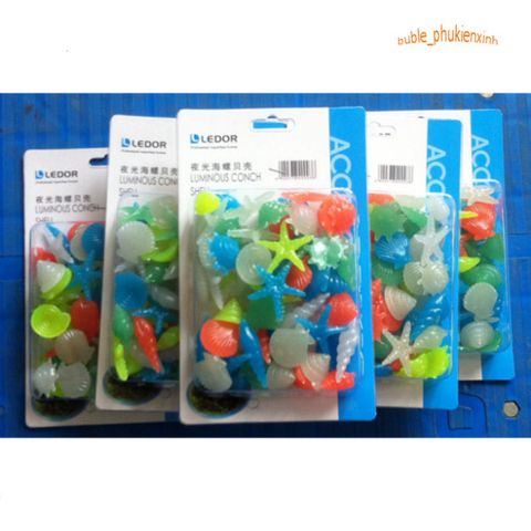 Gói 20 viên Sỏi Dạ Quang Sinh Vật Biển - Trang Trí Bể Cá, Thác Nước, Phụ Kiện Vỏ Ốc Sao, Tạo Điểm Nhấn Độc Đáo