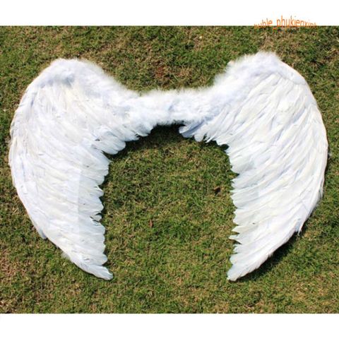 Cánh Thiên Thần & Cánh Ác Quỷ Hóa Trang - Phụ Kiện Cosplay Tiệc Tùng Độc Đáo, Đa Dạng Màu Sắc Cho Trẻ Em và Người Lớn
