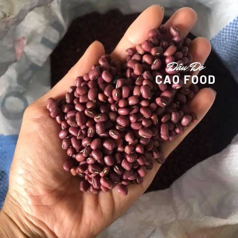 Đậu Đỏ Quê Tự Nhiên 1KG - Hạt Nhỏ Bùi, Không Biến Đổi Gen, An Toàn Cho Sức Khỏe, Thực Phẩm Bổ Dưỡng Giúp Đẹp Da, Thanh Nhiệt Giải Độc