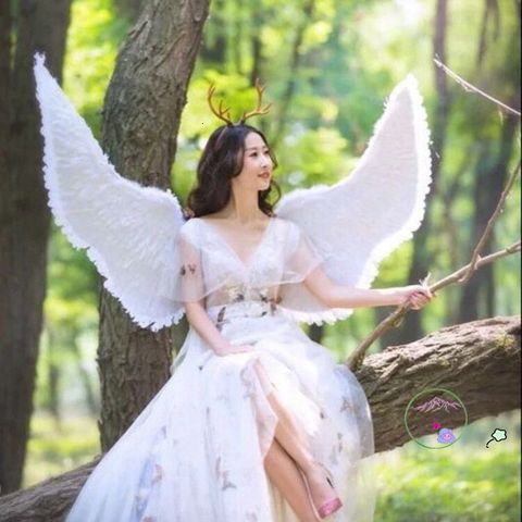 Cánh Thiên Thần Hóa Trang - Đôi Cánh Đen Trắng/Đỏ/Rosa Cho Cosplay Thiên Thần Hoặc Ác Quỷ - Phụ Kiện Tiệc Tùng Thời Trang Nữ
