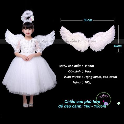 Cánh Thiên Thần Hóa Trang - Cánh Lông Vũ Đen Trắng Phù Hợp Chụp Ảnh và Biểu Diễn, Nhiều Kích Cỡ Sẵn Có