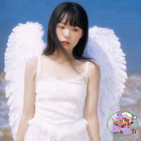 Cánh Thiên Thần Trắng & Cánh Ác Quỷ Đen Đỏ - Bộ Hóa Trang Cosplay Độc Đáo Cho Tiệc, Lễ Hội, Chụp Ảnh Sự Kiện
