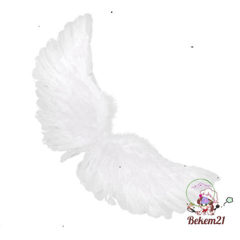 Cánh Lông Vũ Thiên Thần & Ác Quỷ - Đạo Cụ Chụp Ảnh Halloween, Phụ Kiện Cosplay Unisex, Dành Cho Tiệc Bachelorette