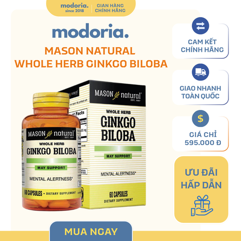 Viên Uống Ginkgo Biloba Mason Natural 60 Viên - Hỗ Trợ Chức Năng Não Bộ và Tuần Hoàn Máu Não - Sản Phẩm Mỹ Chính Hãng