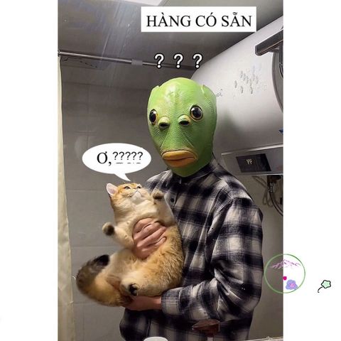 Mặt Nạ Ngựa Vui Nhộn - Phụ Kiện Hóa Trang Độc Đáo Cho Halloween, Thú Vị và Hài Hước Cho Bữa Tiệc và Lễ Hội