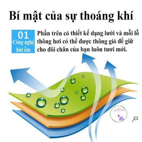 Giày Patin Cao Cấp Điều Chỉnh Phát Sáng - Giày Trượt Cho Người Lớn & Trẻ Em, Mẫu Mới 2024, An Toàn & Thời Trang
