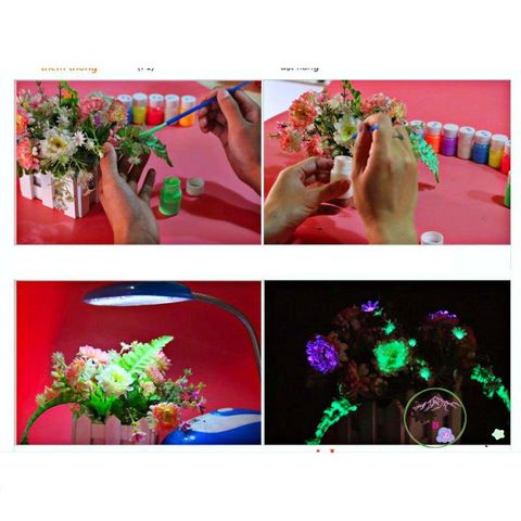 Bột Dạ Quang Phát Sáng Trong Đêm 10gr - Sơn Phát Sáng Màu Sắc Đa Dạng Dành Cho Nghệ Thuật Tô Vẽ, An Toàn Và Bền Bỉ 10 Năm