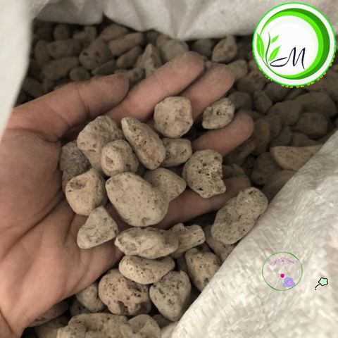 Đá Pumice Cao Cấp 1kg - Vật Liệu Tối Ưu Cho Cây Sen Đá, Lọc Bể Cá & Trồng Lan, Xương Rồng