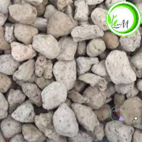 Đá Pumice Cao Cấp 1kg - Vật Liệu Tối Ưu Cho Cây Sen Đá, Lọc Bể Cá & Trồng Lan, Xương Rồng