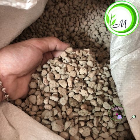 Đá Pumice Cao Cấp 1kg - Vật Liệu Tối Ưu Cho Cây Sen Đá, Lọc Bể Cá & Trồng Lan, Xương Rồng