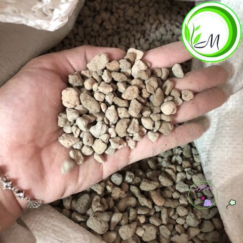 Đá Pumice Cao Cấp 1kg - Vật Liệu Tối Ưu Cho Cây Sen Đá, Lọc Bể Cá & Trồng Lan, Xương Rồng