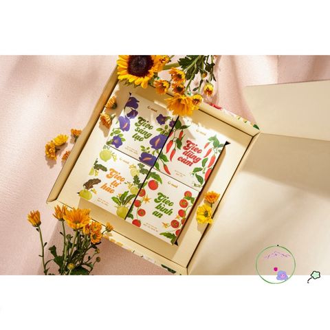 Bộ quà tặng Gieo hạt Bừng nở - 4 Bộ kit trồng cây cao cấp kèm hướng dẫn gieo hạt và quà tặng bất ngờ cho người yêu thiên nhiên