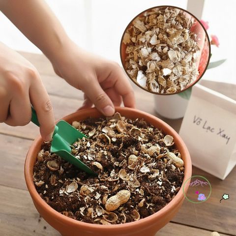 Vỏ đậu phộng xay cải thiện đất trồng hoa - Phụ gia tự nhiên giúp giữ ẩm, giảm cỏ dại và tăng dinh dưỡng cho cây trồng.