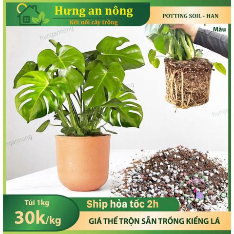 Giá thể trồng cây kiểng lá Monstera 1kg - Chất lượng cao, trộn sẵn cho cây cảnh, hoa và bonsai, dễ sử dụng tại nhà, vườn sân thượng.
