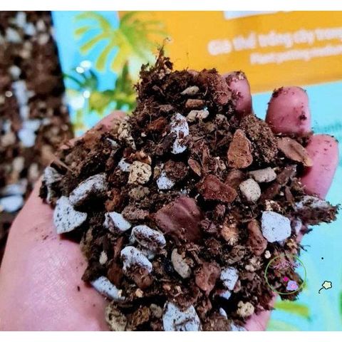 Giá thể trồng cây kiểng lá Monstera 1kg - Chất lượng cao, trộn sẵn cho cây cảnh, hoa và bonsai, dễ sử dụng tại nhà, vườn sân thượng.