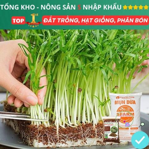 Xơ Dừa Xử Lý 1kg - Giải Pháp Dinh Dưỡng Tối Ưu cho Rau, Hoa, Cây Dâu Tây và Thủy Canh, Giữ Ẩm và Tạo Độ Tơi Xốp cho Đất