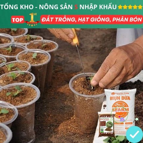 Xơ Dừa Xử Lý 1kg - Giải Pháp Dinh Dưỡng Tối Ưu cho Rau, Hoa, Cây Dâu Tây và Thủy Canh, Giữ Ẩm và Tạo Độ Tơi Xốp cho Đất