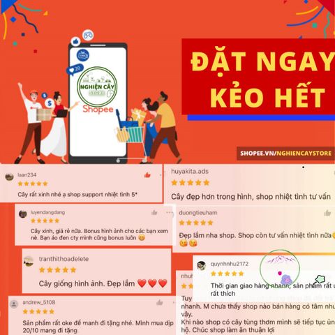 Bánh Mùn Dừa Trồng Cây - Chất Trồng Siêu Tiện Lợi Giúp Giữ Ẩm, Tơi Xốp 3-4kg - Hỗ Trợ Trồng Rau, Hoa, Cây Cảnh