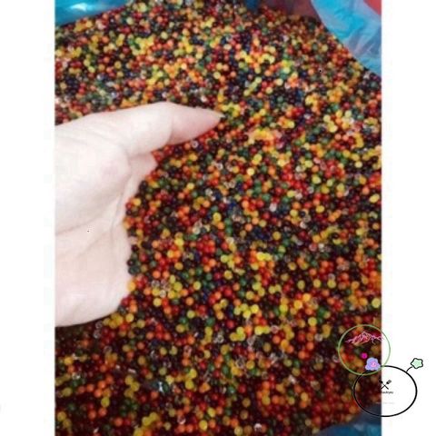 Gói 24 Túi Hạt Nở Trang Trí Vườn Cây - Đồ Chơi Sinh Vật Kỳ Diệu, Quà Tặng Thú Vị Cho Mọi Nhà