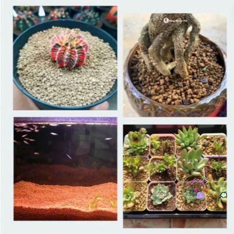 Đất Nung Nhật Bản Akadama Size M (5-10mm) - Hạt cứng, lý tưởng cho bonsai, cây kiểng & thủy sinh, độ ẩm cân bằng, chất lượng cao