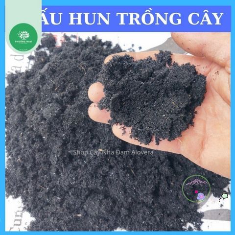 Gói 1kg Tro Trấu Hun Đã Xử Lý - Chất Liệu Trồng Cây Tơi Xốp, Giữ Ẩm và Tăng Dinh Dưỡng Cho Rau Và Cây Cảnh
