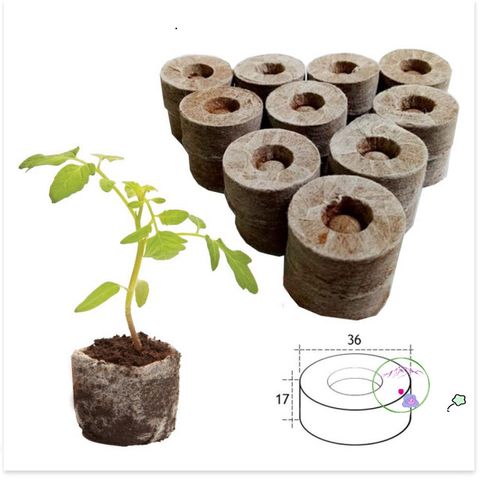 100 Viên Nén Xơ Dừa ươm Hạt - Giúp Nảy Mầm và Phát Triển Cây Trồng Tự Nhiên, Thân Thiện Môi Trường, Dễ Sử Dụng