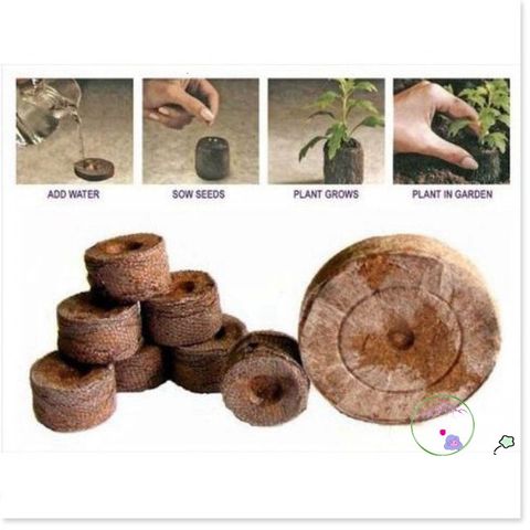 100 Viên Nén Xơ Dừa ươm Hạt - Giúp Nảy Mầm và Phát Triển Cây Trồng Tự Nhiên, Thân Thiện Môi Trường, Dễ Sử Dụng