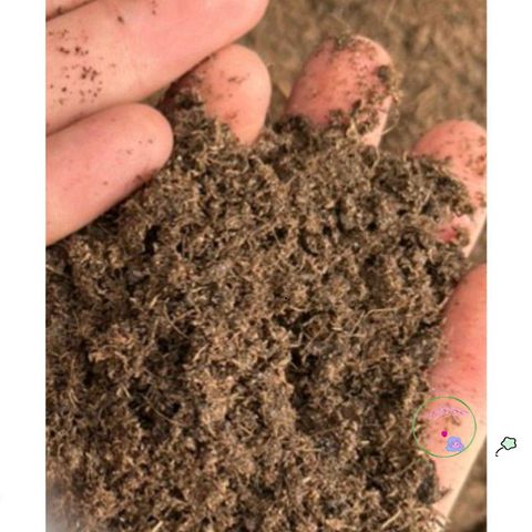 Giá Thể Than Bùn Ươm Hạt Giống Cao Cấp 1kg - Peat Moss Nhập Khẩu Cho Cây Trồng Xanh Tốt, Dinh Dưỡng Cao, Giữ Ẩm Tốt