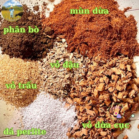 Gói Giá Thể 5dm3 Cho Cây Kiểng Lá Monstera - Phân Bón Giữ Ẩm, Thoát Nước Tốt, Trang Trí Không Gian Sống