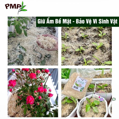 Vỏ Lạc Nghiền Hữu Cơ BIO PMP - Giá Thể Trồng Cây, Giúp Giữ Ẩm, Tăng Mùn và Phát Triển Hệ Vi Sinh Tốt Nhất 1kg