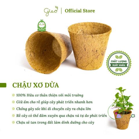 Bộ Trồng Cây Ô-Seed - Hạt Giống Dưa Chuột Vui Vẻ Kèm Hướng Dẫn Gieo Hạt và Quà Tặng Bất Ngờ - Khám Phá Điều Kỳ Diệu