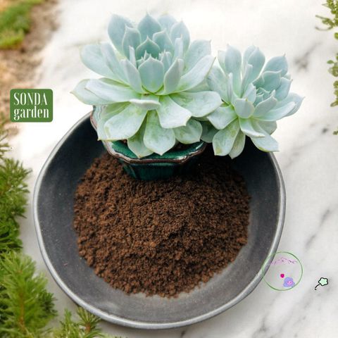 Phân trùn quế SONDA GARDEN 1kg - Phân Hữu Cơ Giàu Dinh Dưỡng Tự Nhiên Cho Cây Trồng Khỏe Mạnh, Hỗ Trợ Phát Triển Nhanh chóng