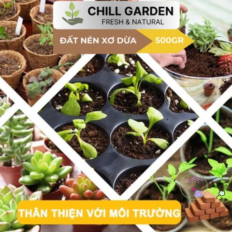 Bộ 10 Viên Xơ Dừa Đất Trồng - Ươm Hạt Giống Gấp 8 Lần - Giải Pháp Hoàn Hảo Cho Cây Rau, Cây Trồng Tại Nhà