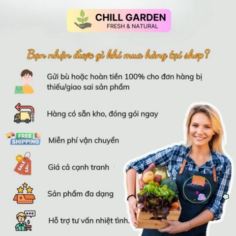 Bộ 10 Viên Xơ Dừa Đất Trồng - Ươm Hạt Giống Gấp 8 Lần - Giải Pháp Hoàn Hảo Cho Cây Rau, Cây Trồng Tại Nhà