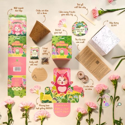 Bộ trồng cây Ô-Seed - Gieo Mầm Thiên Thần - Khám Phá 3 loại hạt giống bí ẩn cho trẻ em - Trải nghiệm gieo hạt thú vị và sáng tạo