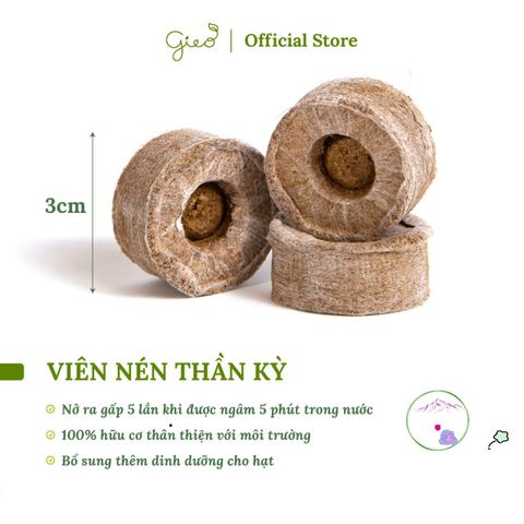 Bộ trồng cây Ô-Seed - Gieo Mầm Thiên Thần - Khám Phá 3 loại hạt giống bí ẩn cho trẻ em - Trải nghiệm gieo hạt thú vị và sáng tạo