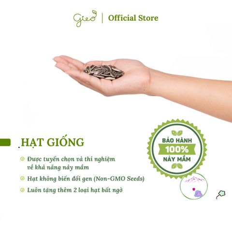 Bộ trồng cây Ô-Seed - Gieo Mầm Thiên Thần - Khám Phá 3 loại hạt giống bí ẩn cho trẻ em - Trải nghiệm gieo hạt thú vị và sáng tạo