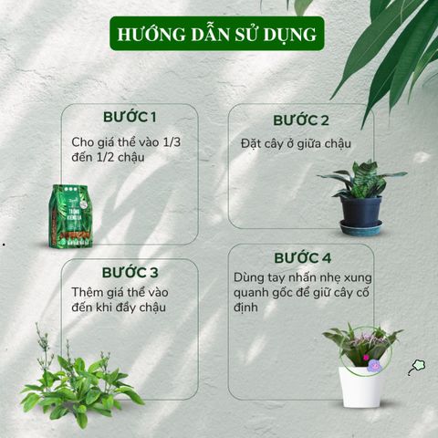 Giá thể trồng cây trong nhà 7 lít cho Monstera, Anthurium và Bàng Singapore - Giải pháp hoàn hảo cho cây cảnh nội thất