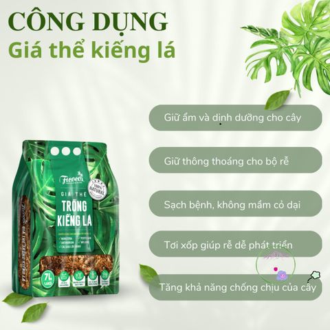 Giá thể trồng cây trong nhà 7 lít cho Monstera, Anthurium và Bàng Singapore - Giải pháp hoàn hảo cho cây cảnh nội thất