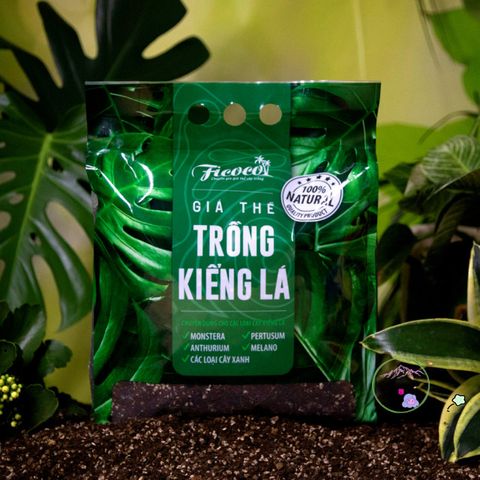 Giá thể trồng cây trong nhà 7 lít cho Monstera, Anthurium và Bàng Singapore - Giải pháp hoàn hảo cho cây cảnh nội thất