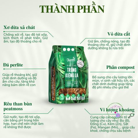 Giá thể trồng cây trong nhà 7 lít cho Monstera, Anthurium và Bàng Singapore - Giải pháp hoàn hảo cho cây cảnh nội thất