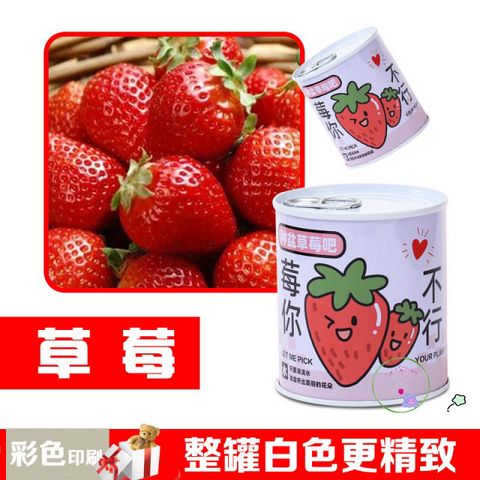 Bộ trồng cây mini tự động nảy mầm - Hạt giống hoa và trái cây cho bé, học STEM, chăm sóc cây tại nhà