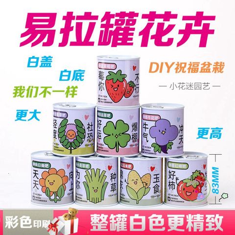 Bộ trồng cây mini tự động nảy mầm - Hạt giống hoa và trái cây cho bé, học STEM, chăm sóc cây tại nhà
